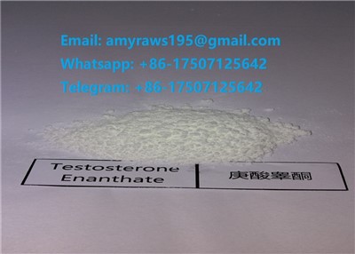 টেস্ট ই স্টেরয়েড পাউডার