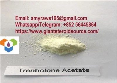 Finaplix Trenbolone Acetate CAS: 10161-34-9 পাউডার, ফিটনেসের জন্য ট্রেন বডিবিল্ডিং সাপ্লিমেন্ট