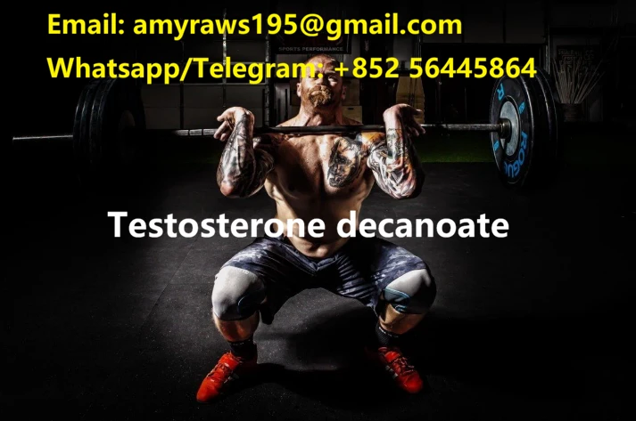 product-713-473