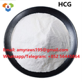 পেপটাইড পাউডার এইচসিজি (হিউম্যান কোরিওনিক গোনাডোট্রপিন) 5000iu